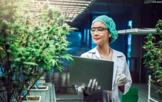 Woman inspecting plants for insurance for hemp manufacturers
