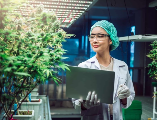Insurance for Hemp Manufacturers: Protecting Your Plant Extract Business
